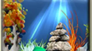Tropical aquarium