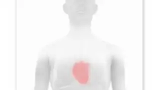 Withings Health Mate