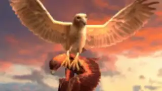 Clan of Eagle