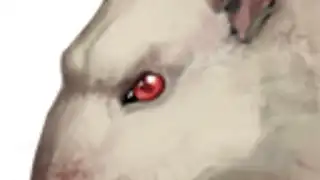 Rat Clicker