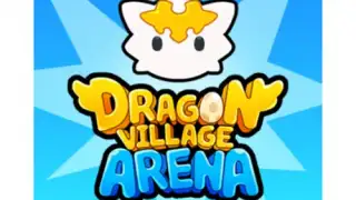 Dragon Village Arena