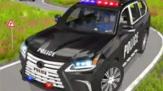 Police Car Chase: Thief Chase