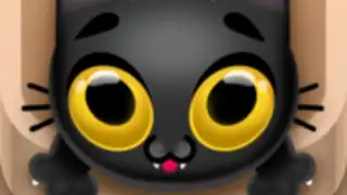 Kitty Jump