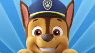 Paw Patrol Academy