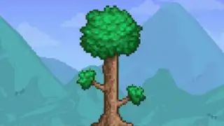 Terraria