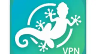 LinkVPN