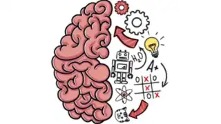 Brain Test