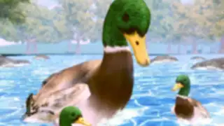 Duck Family Life Simulator 3D