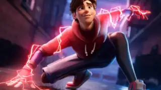 Spider Boy : Rope Hero Games