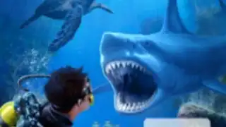 Sharks VR