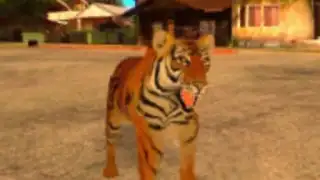 Tiger Simulator