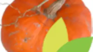 Au Potager