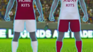 DLS Kits