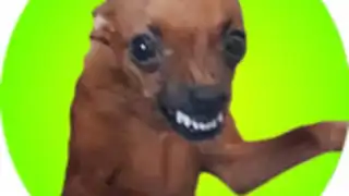 Brasil memes