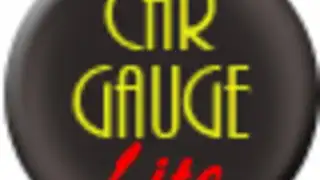 Car Gauge Lite OBD2