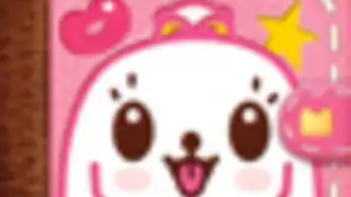 Canimals Diary