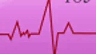 Health Calculator