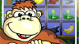 Crazy Monkey Slot Machine