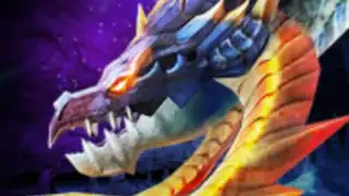 Dragon Project