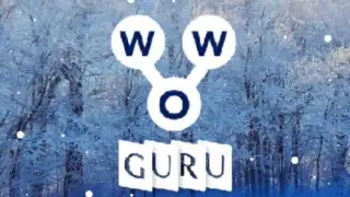 Words of Wonders: Guru