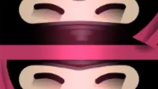 The Last Ninja Twins