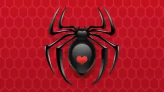 Spider Solitaire Classic