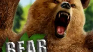 Bear Simulator