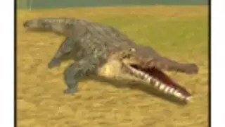 Wild Crocodile Simulator 3D