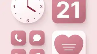 Themes, Widgets & Icon changer