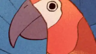 Bird Alone
