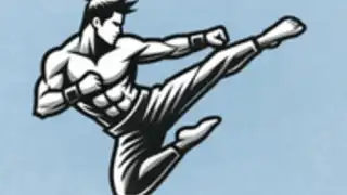 Ultimate MMA Fighting Program
