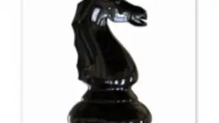 World Chess Championship