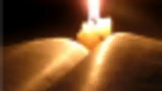 The Message Bible Free MSG