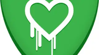Heartbleed Security Scanner
