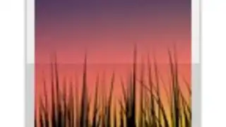 Live Wallpaper Picker