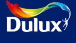 Dulux Visualizer IN