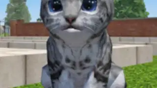 Cute Pocket Cat 3D - Part 2