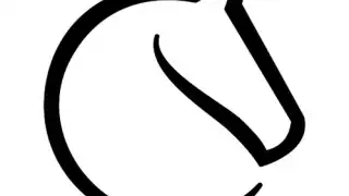 lichess