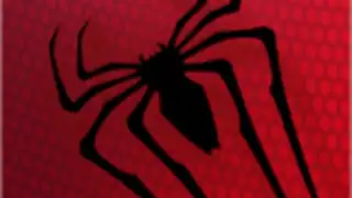 Spider-Man2™