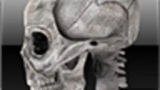 Human skeleton 2D