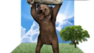Real Bear Simulator