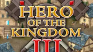 Hero of the Kingdom III