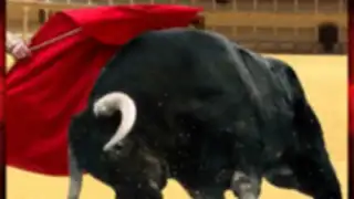 Angry Bull Attack Arena Sim 3D