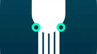 Squid