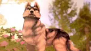 Wolf Tales: Home & Heart
