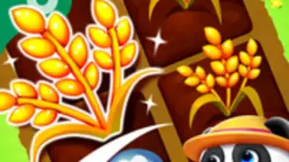 Little Panda's Farm Story