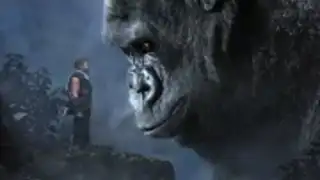 Beasts & Puzzles