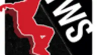 Transworld Endless Skater