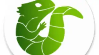Midori Browser