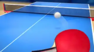 Table Tennis Touch